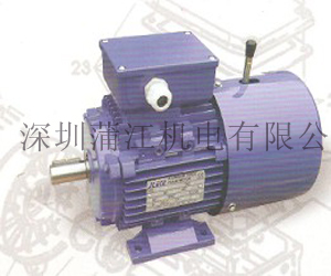 DC制動(dòng)電動(dòng)機(jī)