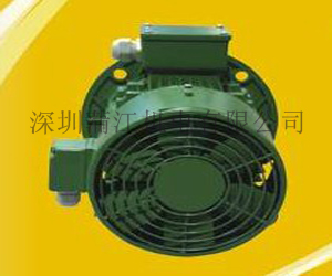 JMUS臥式三相異步頻電動(dòng)機(jī)