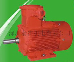 YB2系列高效節(jié)能隔爆型電動(dòng)機(jī)
